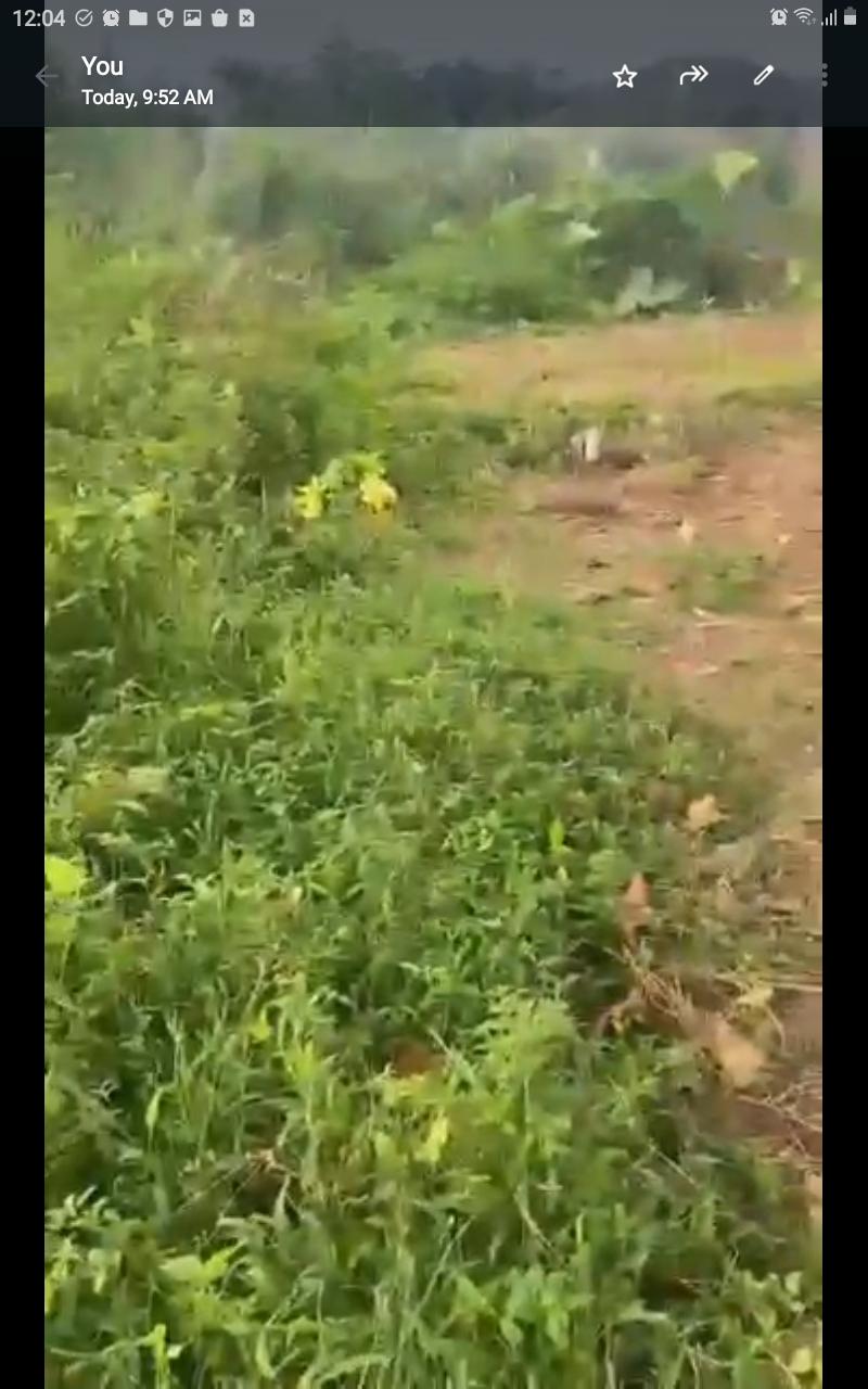 Half Plot of Land – Agric, Ikorodu