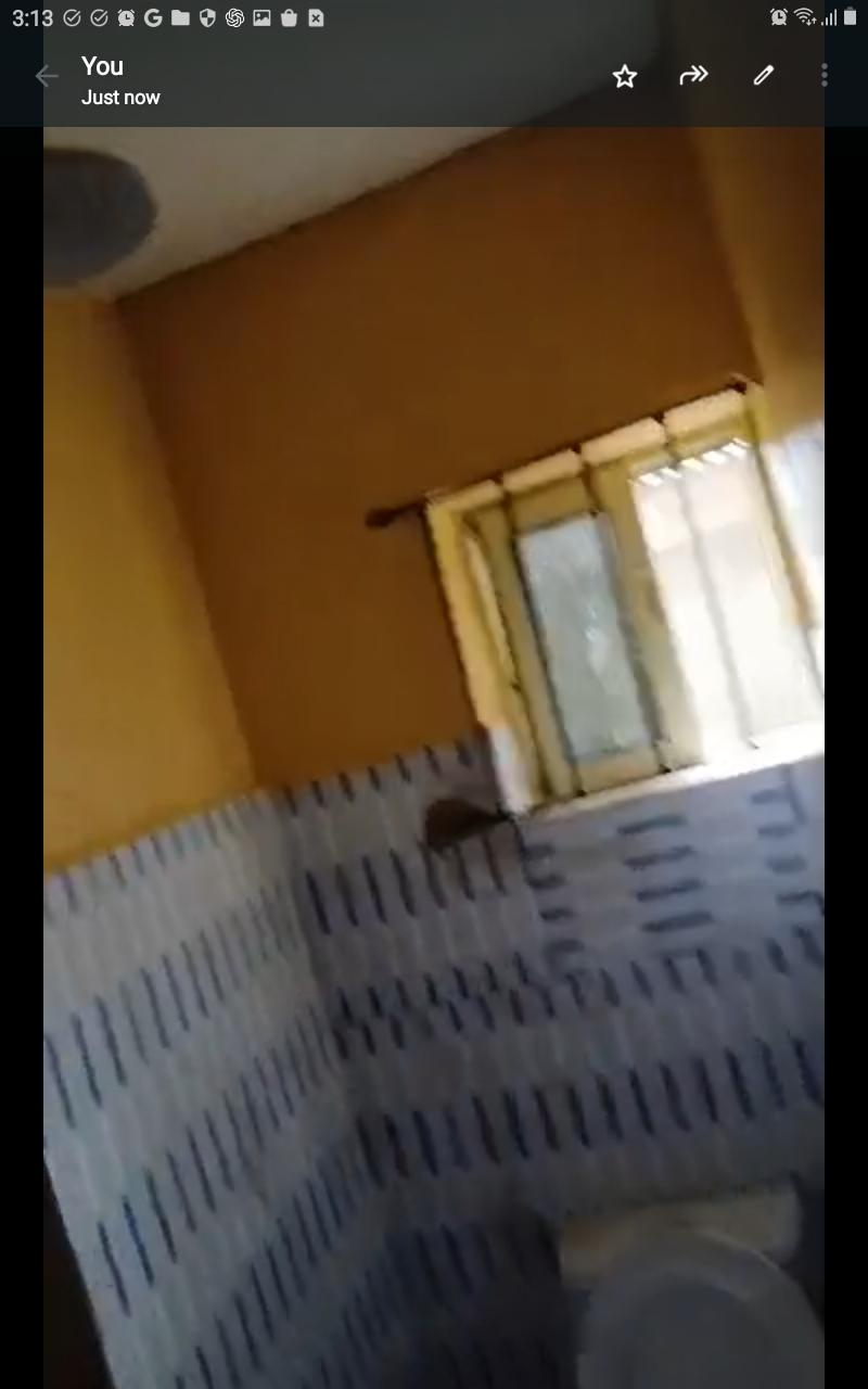 Mini Flat to Let at Ikola