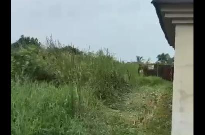 1300SQM Fenced & Gated Land at Thomas Estate, Ajah