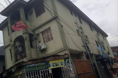 8 Shops + 8 Mini Flats + 6 Self-Contain Rooms 🏗️🔥
