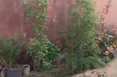 Half plot of land off Mass burial road oke afa