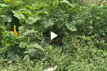 HALF PLOT OF LAND FOR SALE, @AFURUGIN AREA, IJEGUN LAGOS.