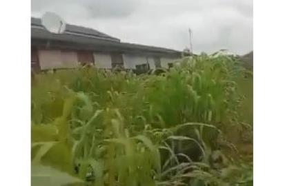 75 Plots of Land for Sale – OPIC, Berger