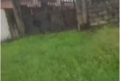 2 Plots of Prime Land for Sale at Post Service, Opposite LASU