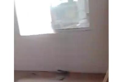 Renovated Room Self-Contain for Rent at Ire-Akari Estate Road, Isolo