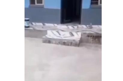 Self-Compound 6-Bedroom Bungalow To Let in Surulere 📍