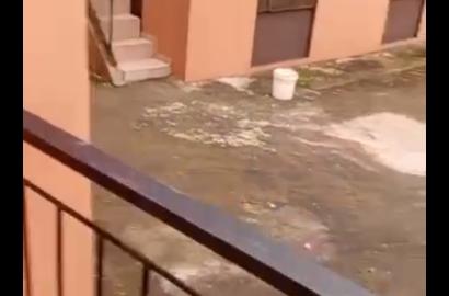 3-Bedroom Flat & Mini Flat