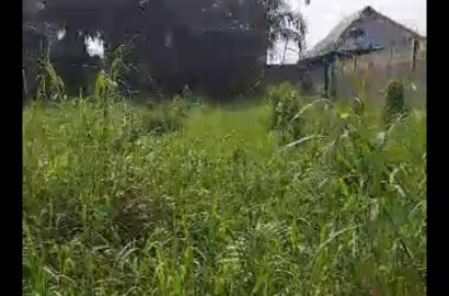 Half Plot of Land for Sale at Agodo Cele, Egbe