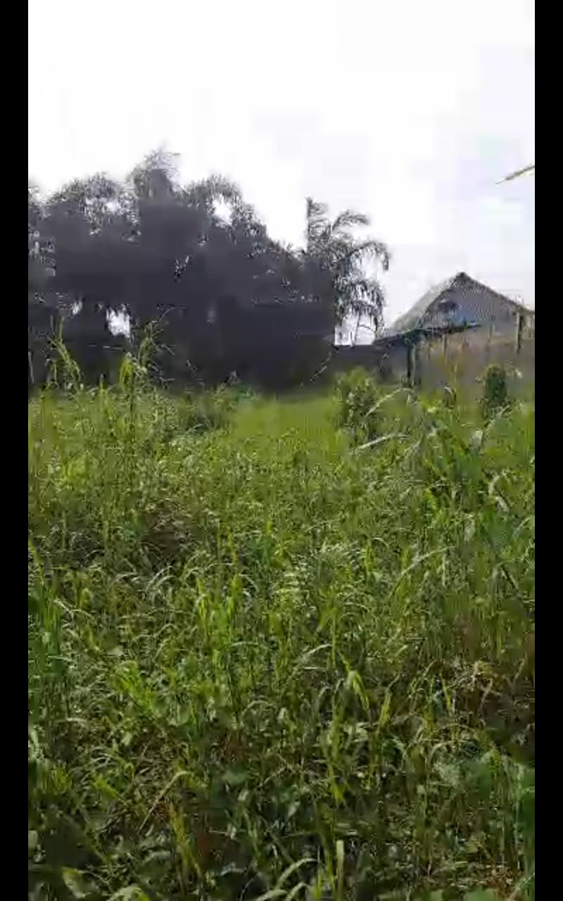 Half Plot of Land for Sale at Agodo Cele, Egbe