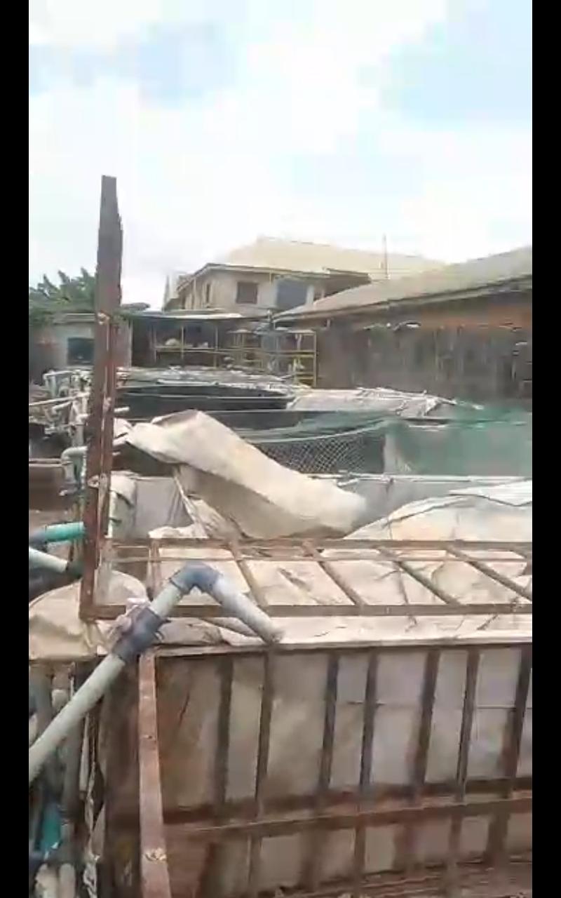 Bungalow + 10 Mini Flats + 10 Shops + 9 Fish Ponds @ Oke-Afa