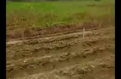 26 Plots of Fenced Dry Land for Sale Off Gulf Road, Ibeju-Lekki