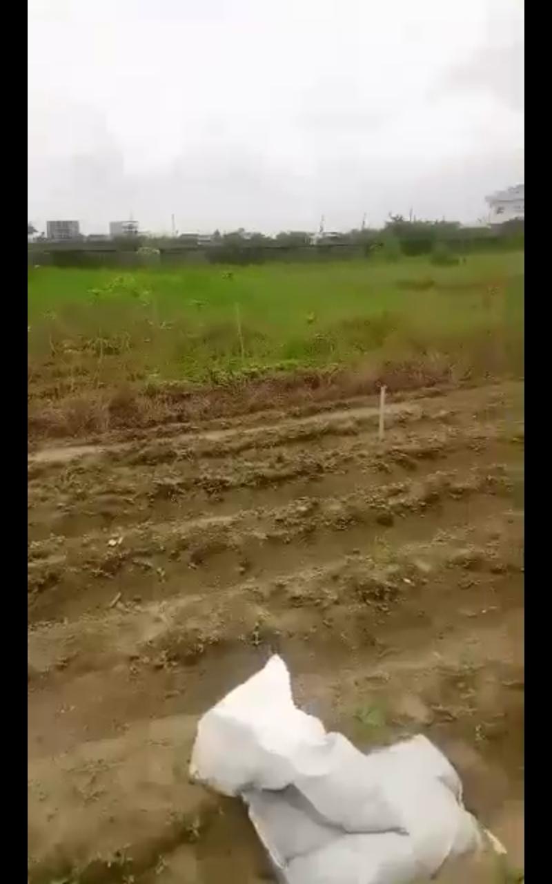 26 Plots of Fenced Dry Land for Sale Off Gulf Road, Ibeju-Lekki