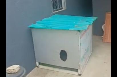Mini Flat To Let at Oke-Afa Unity Road
