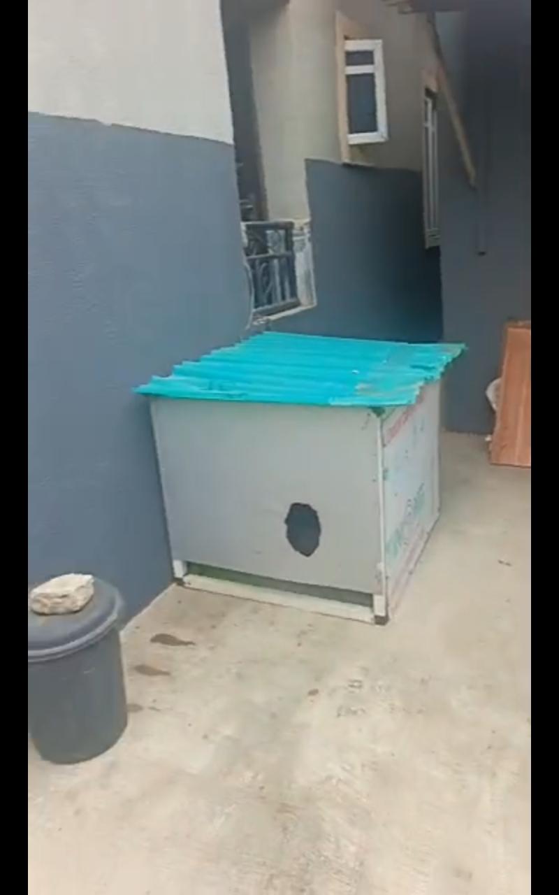 Mini Flat To Let at Oke-Afa Unity Road