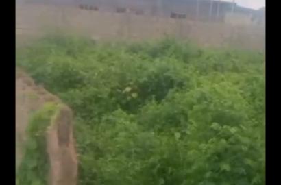 Half Plot of Land for Sale at Oke-Afa