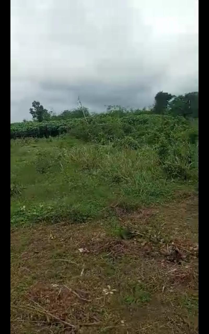 77 Acres of Investment Land Behind OPIC Estate | 📍Agbara, Ogun State
