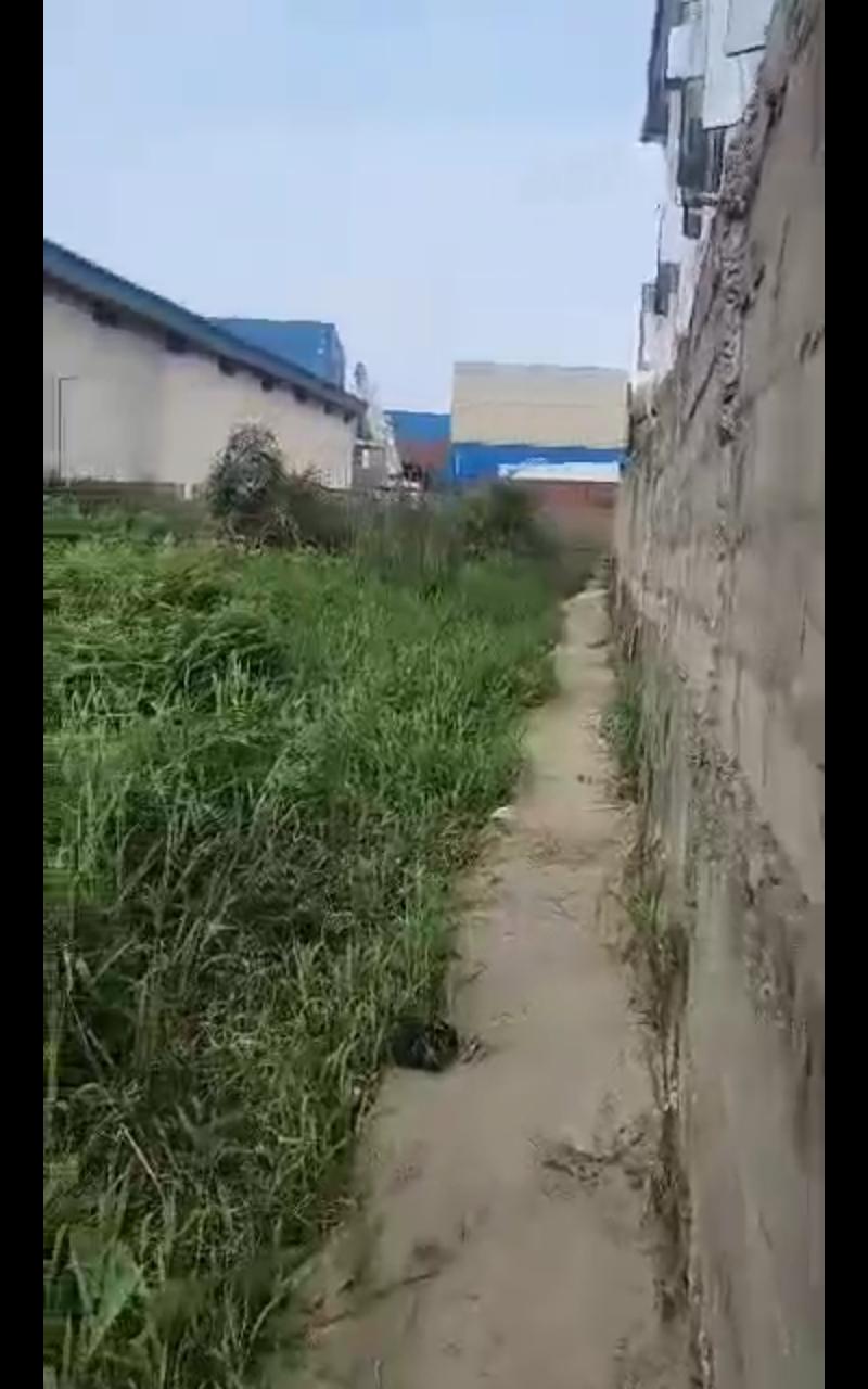 Land 60×120ft at Startimes Estate, Ago Okota
