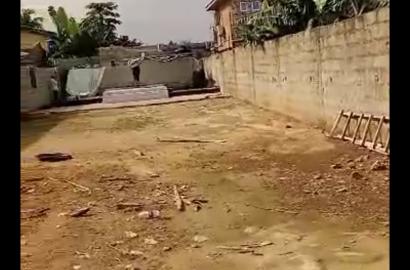 Half Plot of Land for Lease at Ijegun