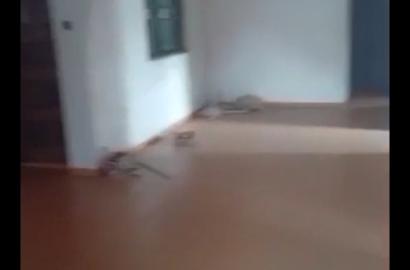 3-Bedroom Upstairs Flat To Let Off Ejigbo–Idimu Road