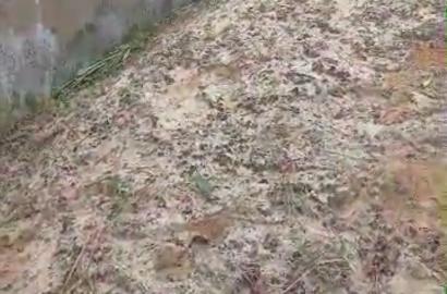 Full Plot of Land for Sale at Bucknor, Lagos