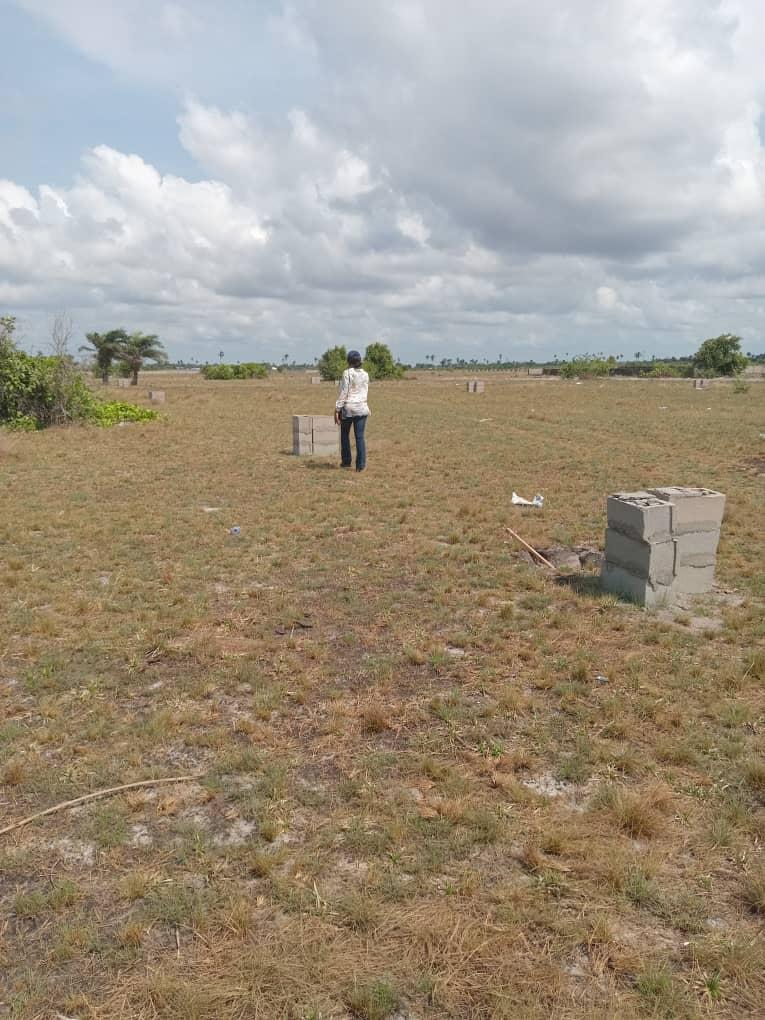 🏞️ FOR SALE Bulk Land Available – Ibeju-Lekki 📍 Location: Okegelu, Ibeju-Lekki, Lagos State