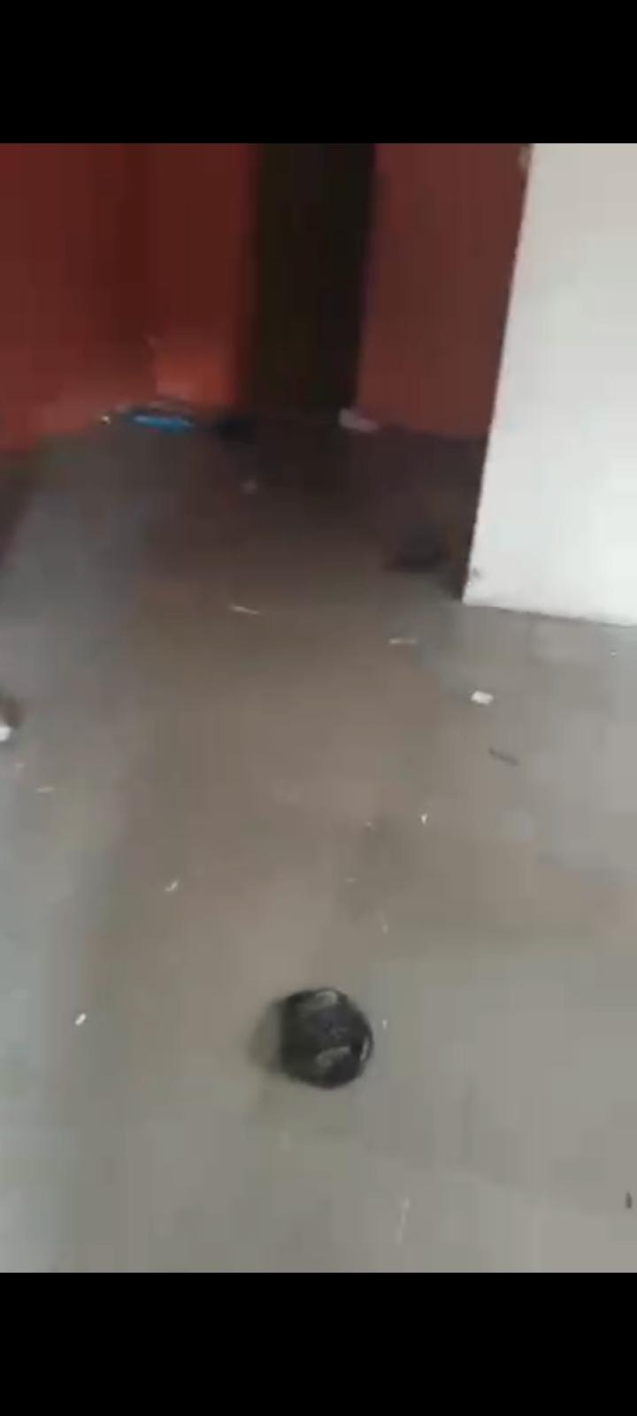 Spacious 3 Bedroom Ground Flat Olaleye Street, Sawmill, Gbagada, Lagos