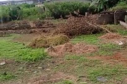 Full Plot of Land for Sale at Oreofe Bus Stop, Ijegun Ikotun