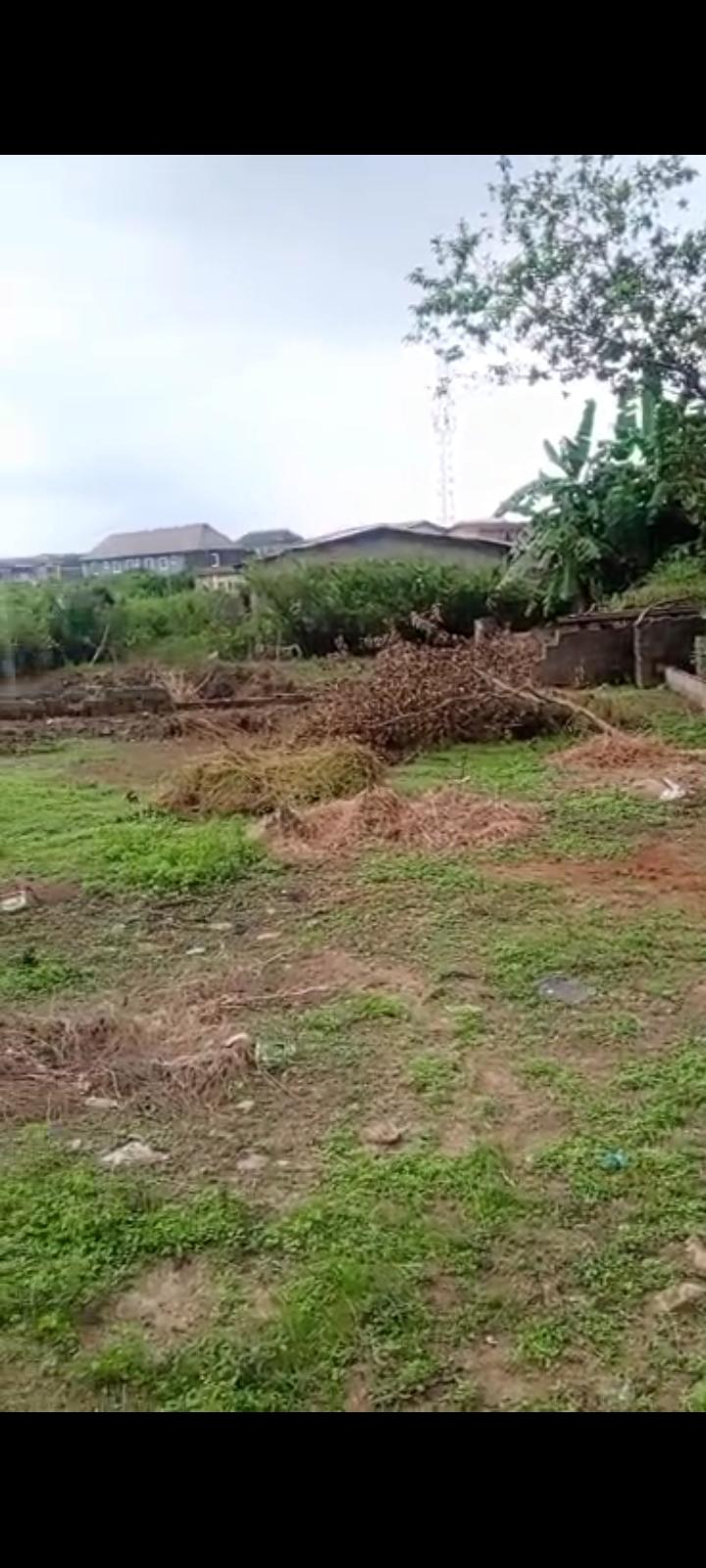 Full Plot of Land for Sale at Oreofe Bus Stop, Ijegun Ikotun