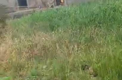 Dry Half Plot of Land – Isheri Oshun, Lagos
