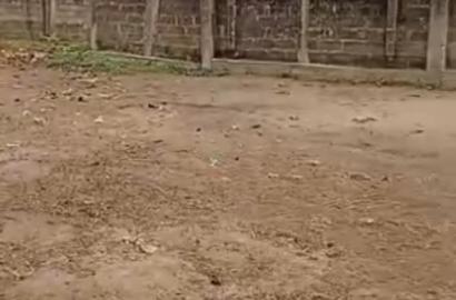 Half Plot of Table Land (30ft × 123ft) – Off Ijegun/Ijagemo Road, Lagos