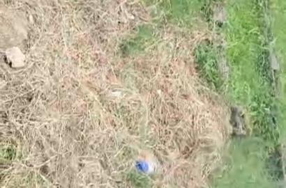 Half Plot Dry Land – Bucknor (Fenced & Gated)