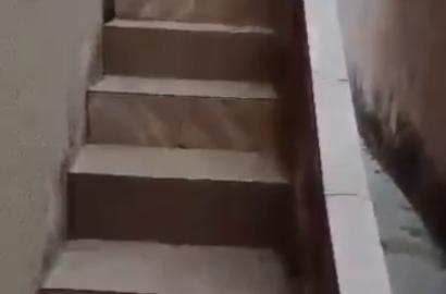 Standard 2 Bedroom Upstairs Flat – Ailegun Road, Bucknor