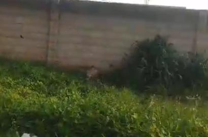 2 Plots of Land Facing Express – Ipaja, Lagos