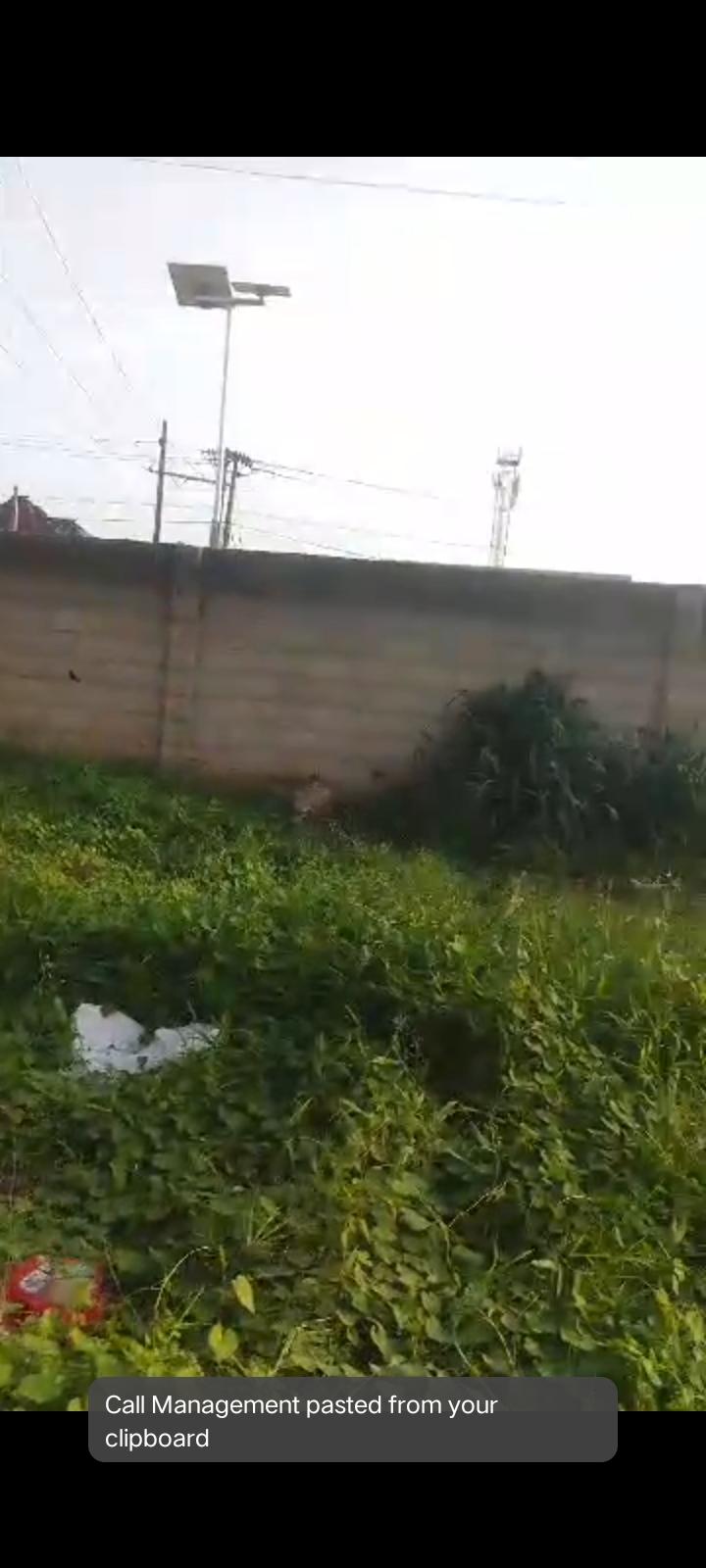 2 Plots of Land Facing Express – Ipaja, Lagos