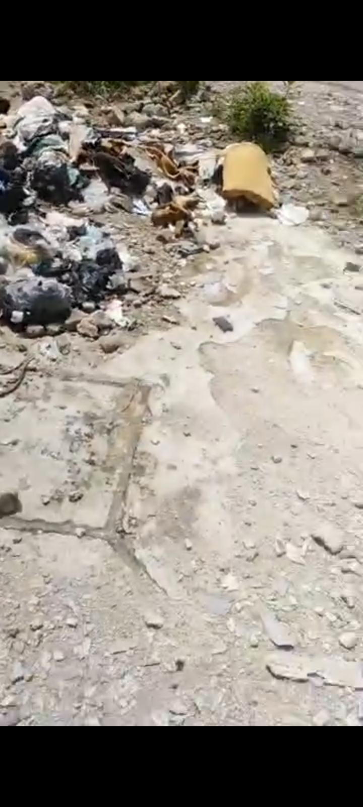 Half Plot of Land 📍  Bayo Oyewale Street, Ago Palace Way, Lagos
