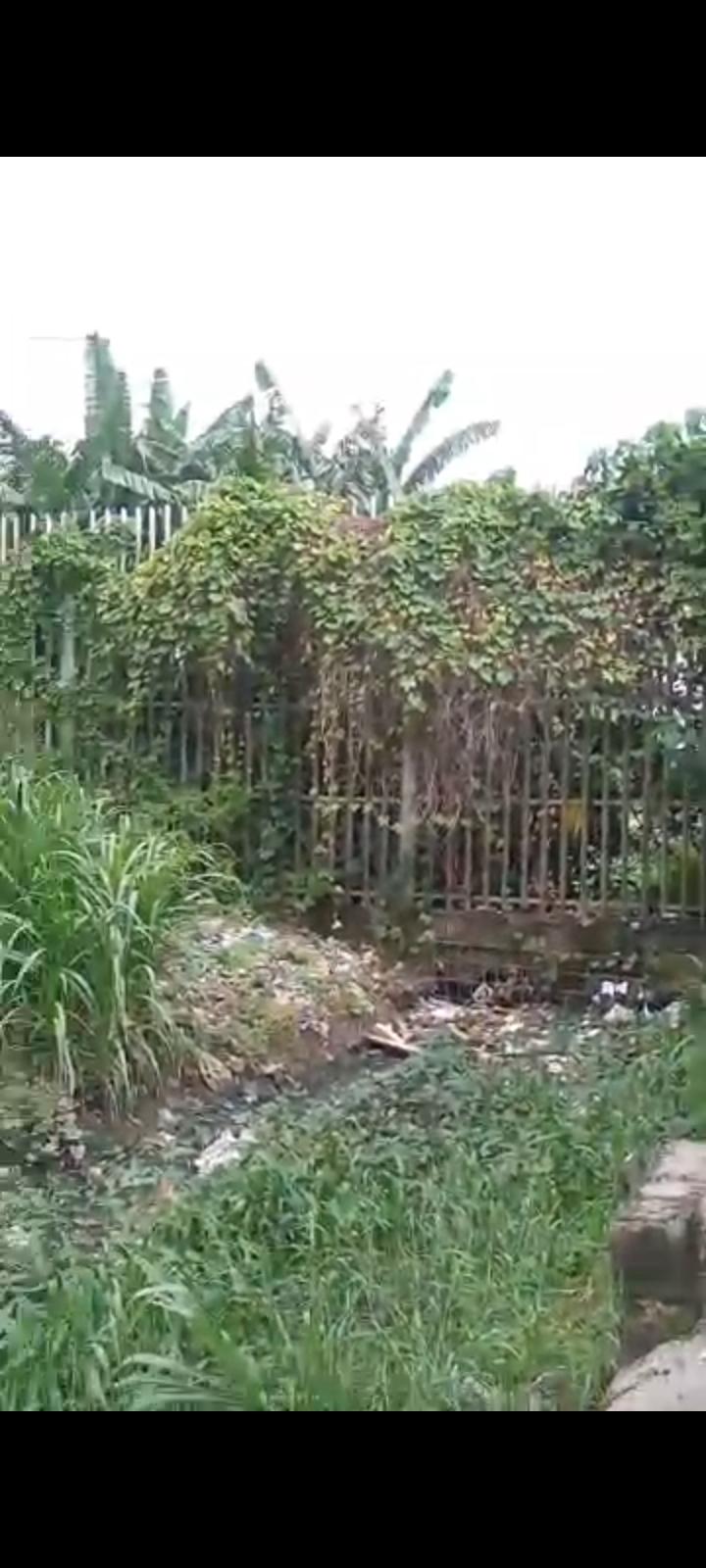 Full Plot & Half Plot of Land 📍 Location: Balogun Street, Ago Palace Way, Lagos