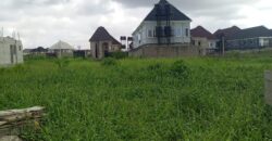 For Sale: A full plot of Land at bucknor Estate at the back of Park way estate. It’s goes for 25M (asking price)